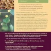 Southwest Foraging: 117 Wild and Flavorful Edibles from Barrel Cactus to Wild - Image 2