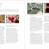 Southwest Foraging: 117 Wild and Flavorful Edibles from Barrel Cactus to Wild - Image 7