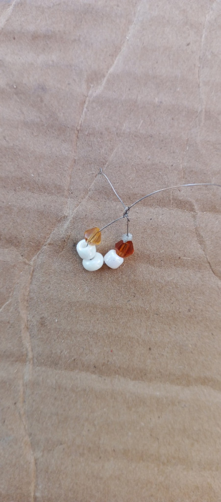 Accessories, Earring, Jewelry, Nature, Outdoors, Leaf, Plant, Flower, Petal, Cardboard, Weather, Wood, Food, Produce, Floor, Box, Crystal, Gemstone, Carton, Grain, Soil, Flooring, Garlic, Vegetable, Bead, Mineral, Paper, Sand, Seed, Animal, Invertebrate, Sea Life, Seashell, Necklace, Beak, Bird, Rock, Bud, Sprout, Pin, Fruit, Pebble, Barbed Wire, Wire, Spider, Sweets, Nut, Tree, Geranium, Coil, Spiral, Hoop, Desert, Ornament