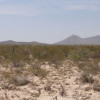 1/10th Acre Homestead Land - 100 year lease - Image 2