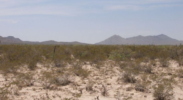 1/10th Acre Homestead Land - 100 year lease - Image 2